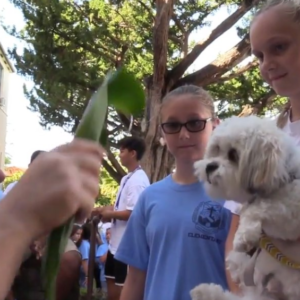 St. Francis School celebrates namesake with pet blessing